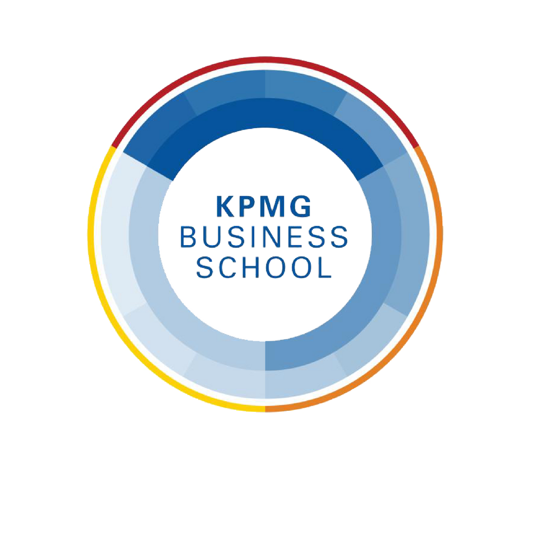 KPMG QUE SIGNIFICA visual data 2