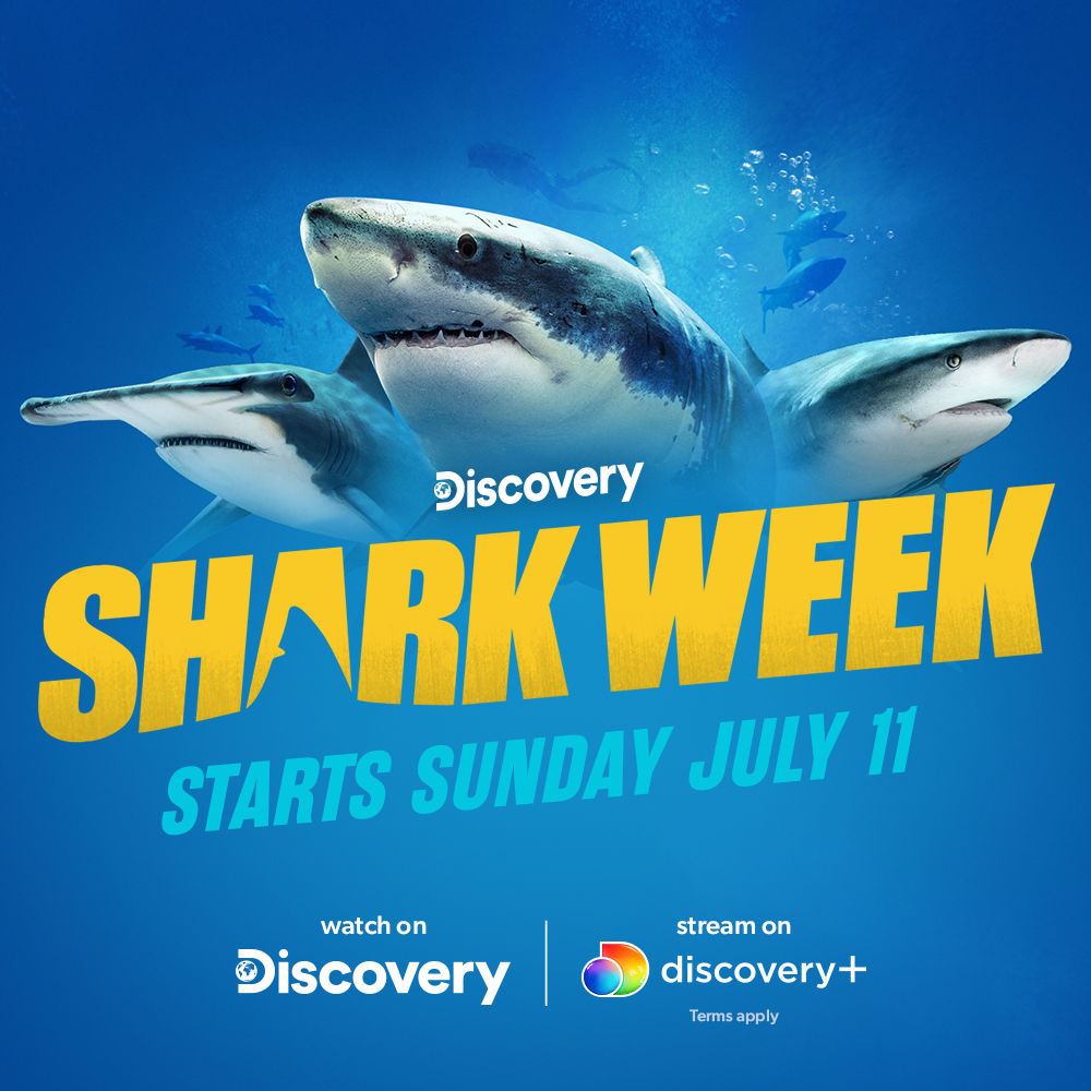 Shark Week discovery+