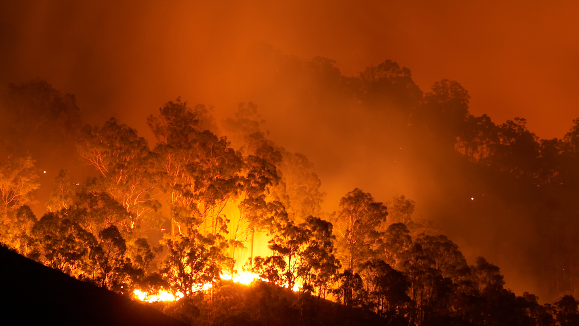 Bushfire aid: 9News Latest Stories Season 2025, Short Video